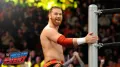Sami Zayn reacts with shocking plea after major WWE move: "Oh my God"