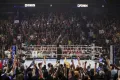 Triple H Drops Big Roman Reigns Update After Following RAW Attack