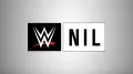 Ex-Basketball star joins WWE NIL program