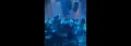 Conor McGregor Caught on Video Punching Patron at Nightclub 
